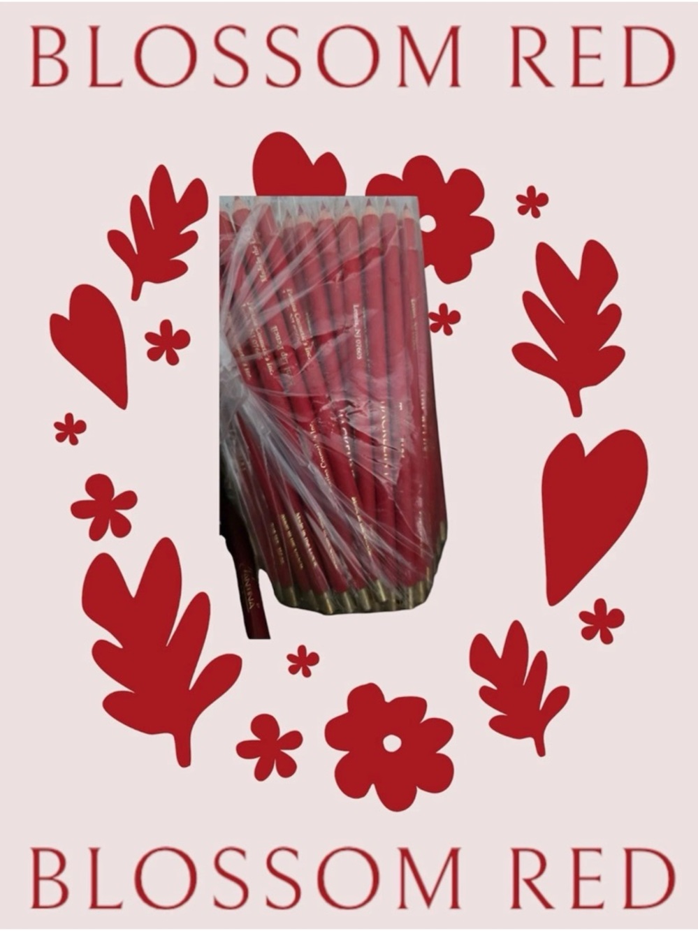 Pantina Cosmetics JACKELIN Kohl Lip Pencil Tomato Red #121 Pack Of 50 Pencils